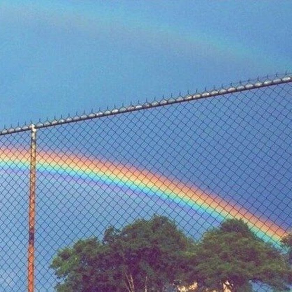 Meet your Posher, Maya